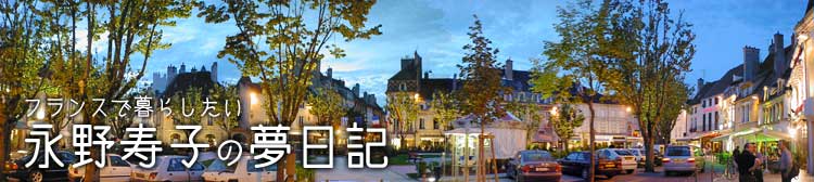 �t�����X�ŕ�炵�����A�i����q �̖����L
